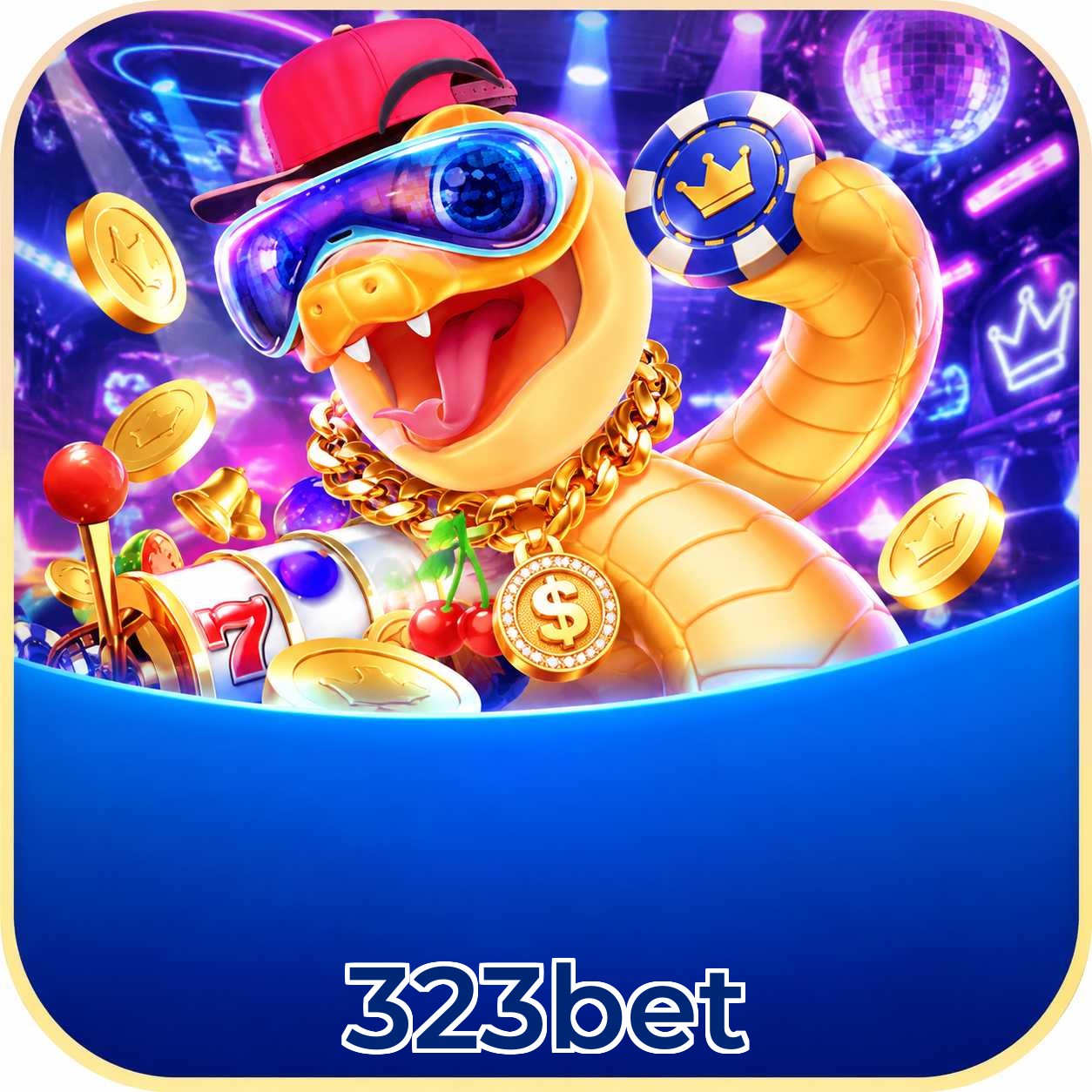 323bet App Features